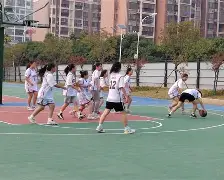 英雄联盟-国际篮球比赛中，豪强争霸，争夺冠军的简单介绍